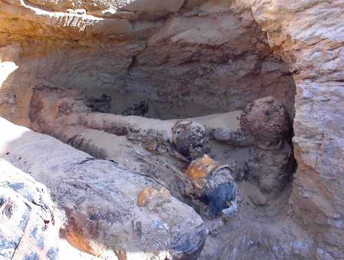The Discovery of  The Valley  of the Golden Mummies at Bahariya Oasis