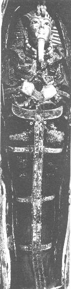 Tut's Coffin